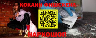 крисы Кулебаки