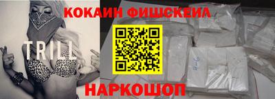 крисы Кулебаки