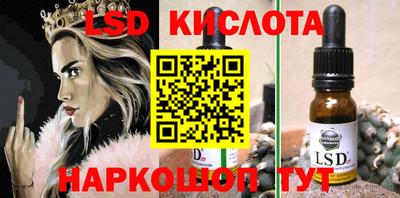 крисы Кулебаки