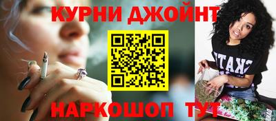 крисы Кулебаки