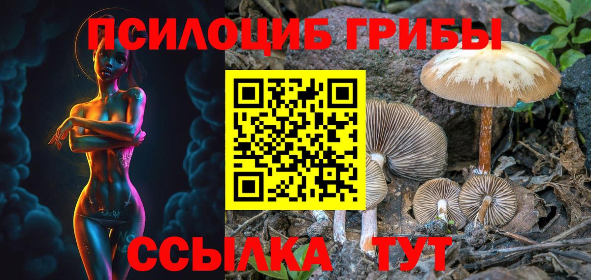 Галлюциногенные грибы Psilocybine cubensis  где купить наркотик  Курск  Вход с VPN 